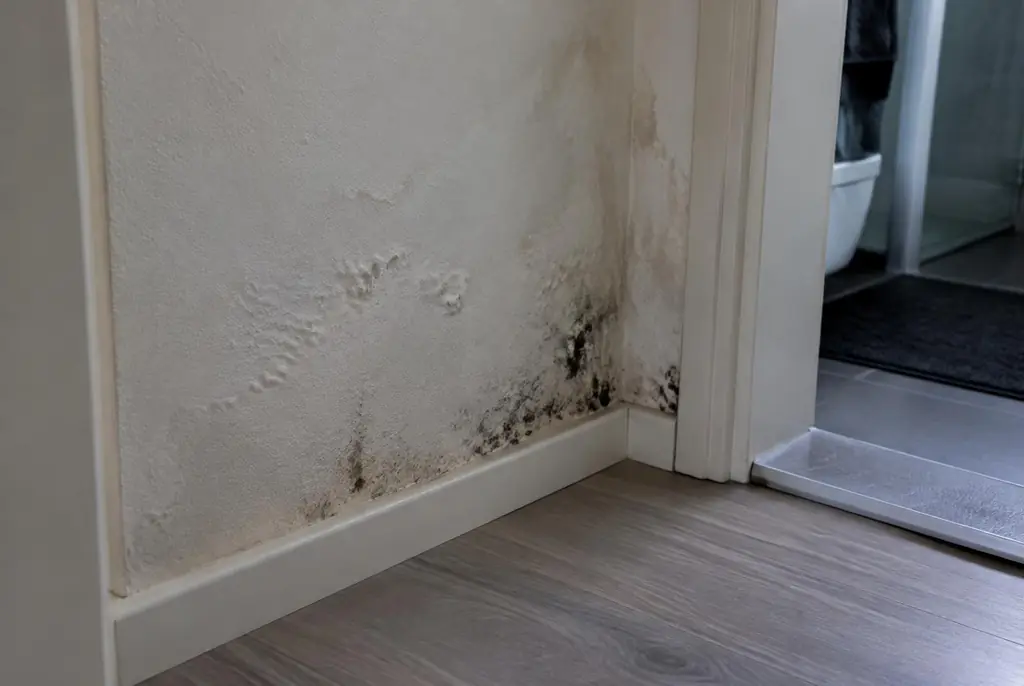 Lekdetectie Markelo – vochtplek met schimmel op een muur
